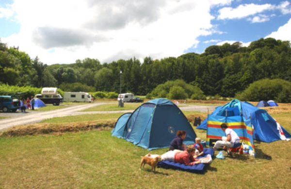 Wiseman's Bridge Inn & Caravan Park 12880