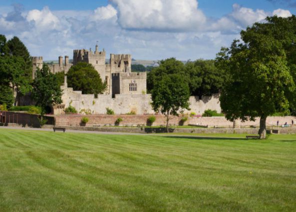 Witton Castle Country Park 12890