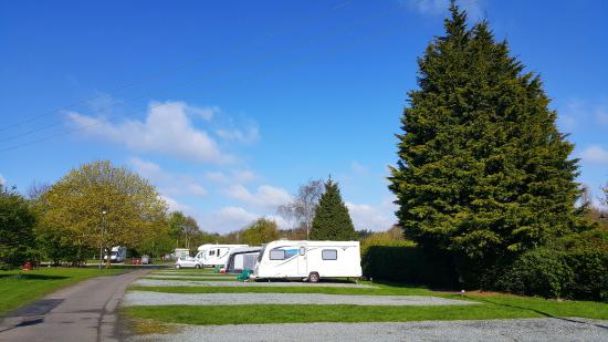 Colchester Holiday Park 12929