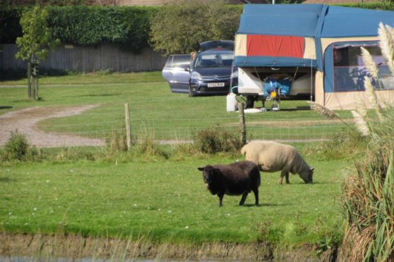 Fairfields Farm Caravan & Camping Site 12952