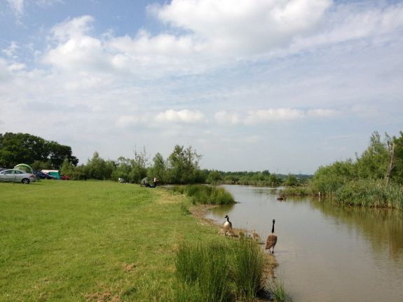 Blacklands Farm Caravan and Camping 12992