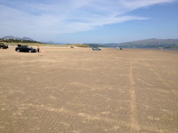 are dogs allowed on black rock sands