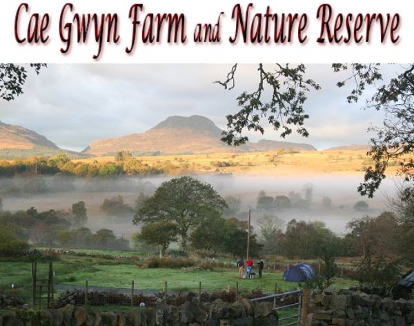 Cae Gwyn Farm