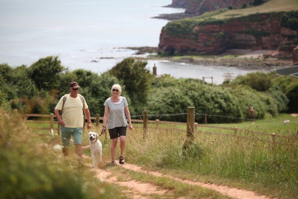 Ladram Bay 13064