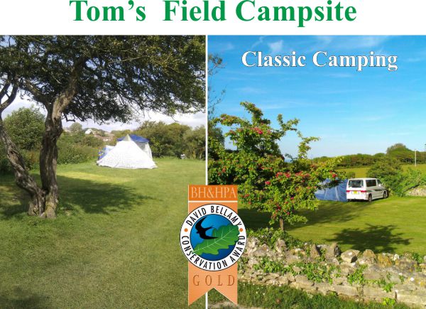 Tom's Field Campsite