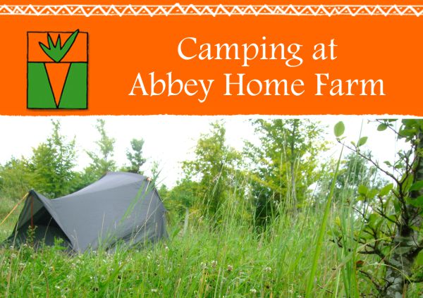 Abbey Home Farm Camping, Cirencester 1308