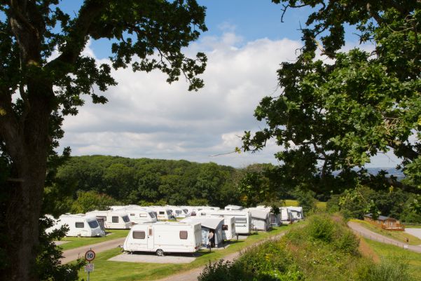 Castle Brake Holiday Park 13082