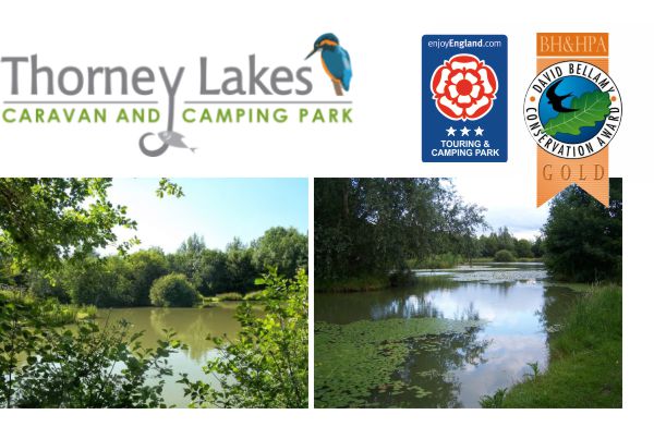 Thorney Lakes & Caravan Park 13114
