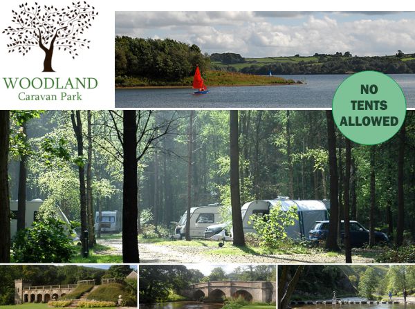 Woodland Caravan Park 13126