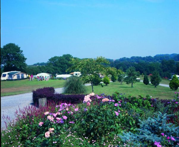 Woodlands Grove Caravan & Camping Park 13147