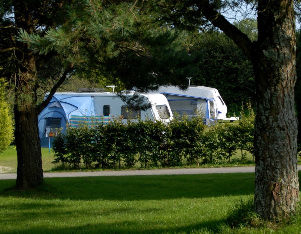 Woodlands Grove Caravan & Camping Park 13149