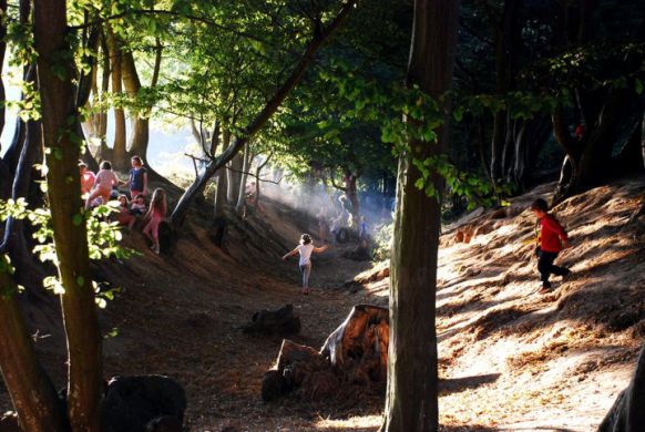 Wowo Campsite 13175