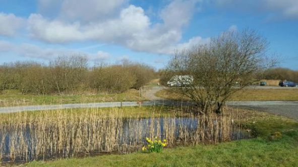 Yet-Y-Gors Fishery and Campsite 13221