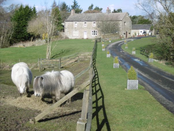 Yont The Cleugh Caravan Park 13225