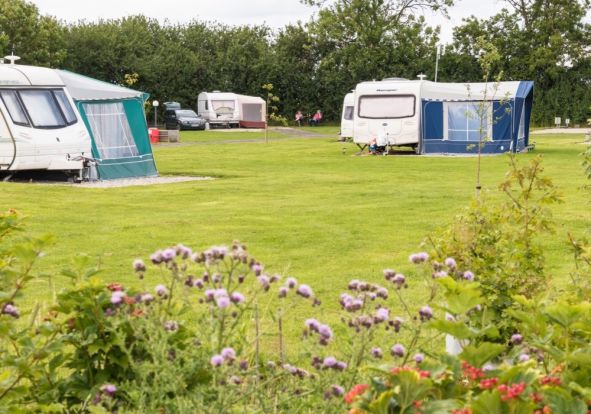 York Meadows Caravan Park 13236