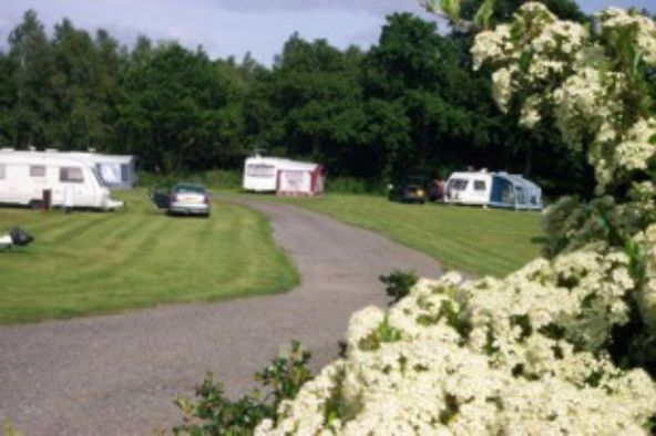 York Meadows Caravan Park 13239