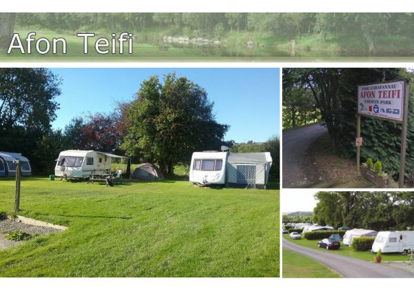 Afon Teifi Caravan and Camping Park 13297