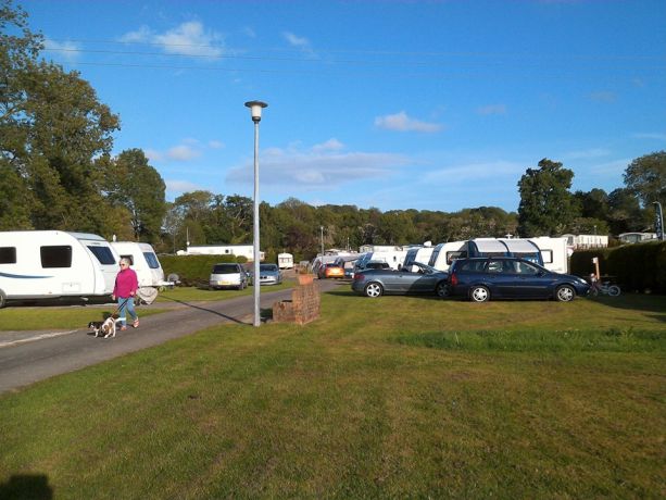 Afon Teifi Caravan and Camping Park 13298