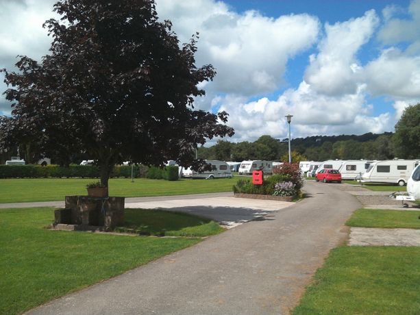 Afon Teifi Caravan and Camping Park 13299