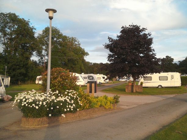 Afon Teifi Caravan and Camping Park 13301