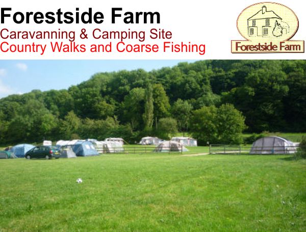 Forestside Farm Caravan & Campsite 13334