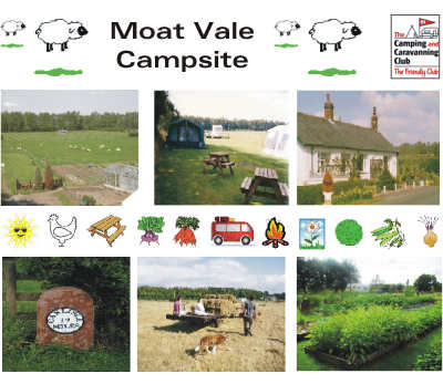 Moat Vale Campsite