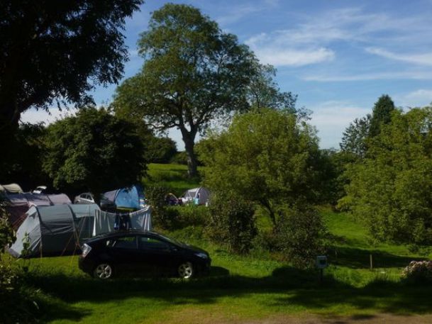 Batcombe Vale Campsite 13448