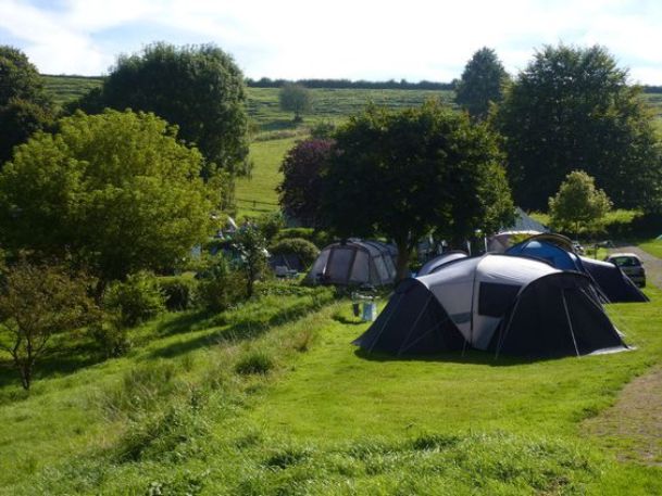 Batcombe Vale Campsite 13452