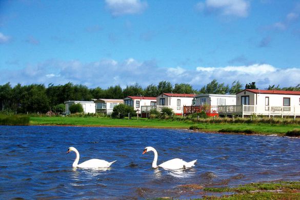 Belhaven Bay Caravan & Camping Park 13491