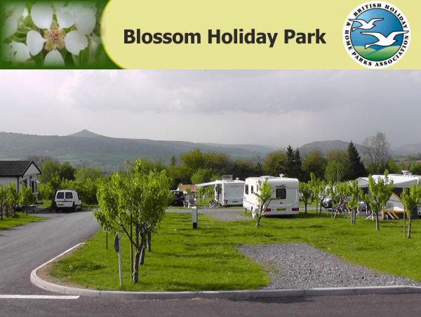 Blossom Holiday Park 13551