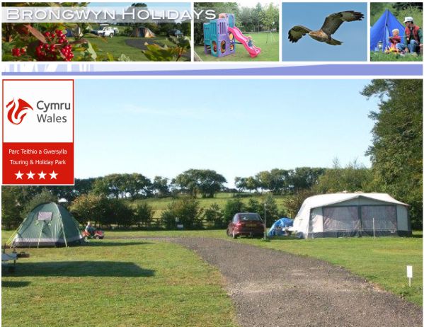 Brongwyn Touring Caravan & Camping Park 13558