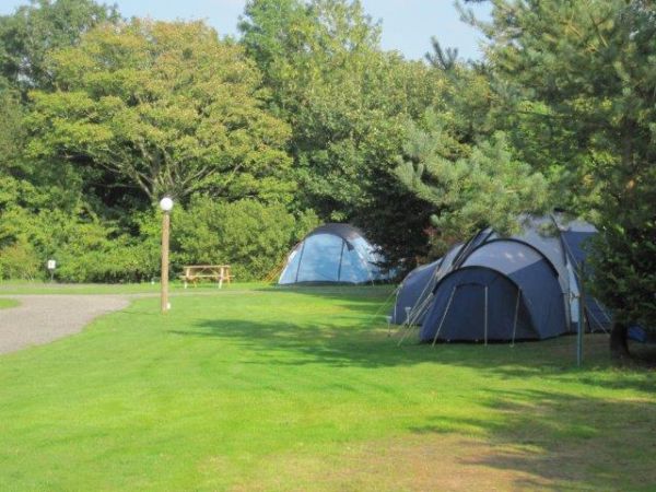 Brongwyn Touring Caravan & Camping Park 13559