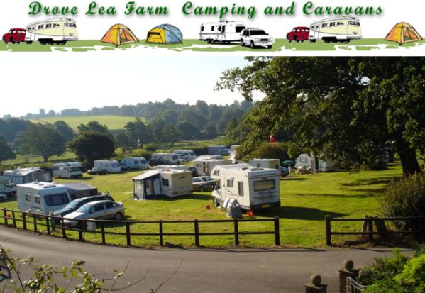 Drove Lea Farm Camping and Caravans 13578