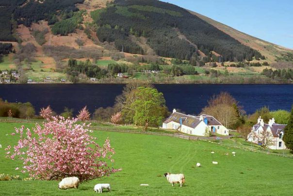 Glen Dochart Caravan Park 13594