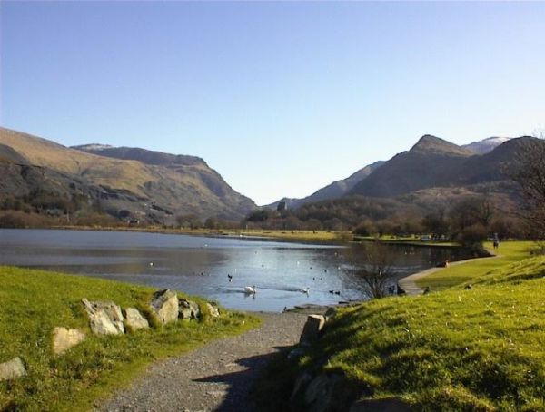 Llwyn Celyn Bach Campsite 13623