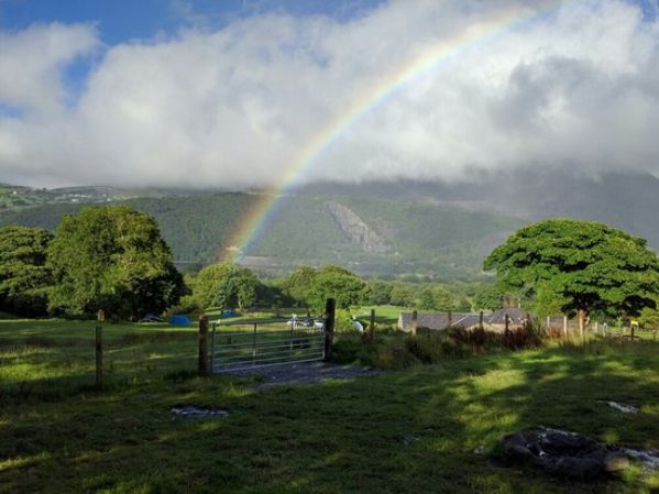 Llwyn Celyn Bach Campsite 13624