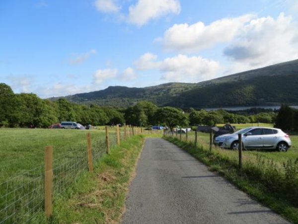 Llwyn Celyn Bach Campsite 13625