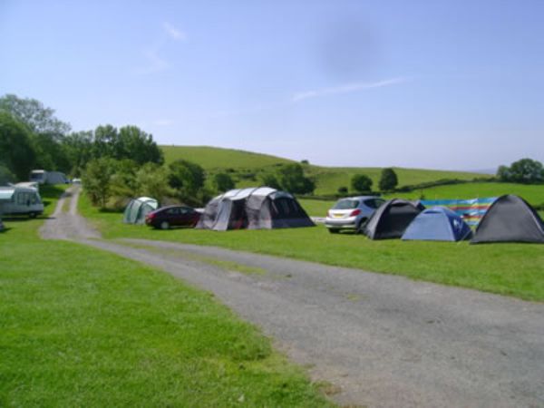 High Fellgate Caravan Park 13684