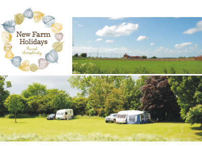New Farm Holidays