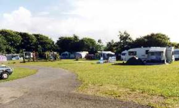 Cambrose Touring Park 13701