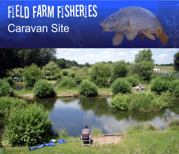 Field Farm Fisheries 13806