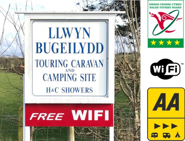 Llwyn Bugeilydd Caravan & Camping Site 13869