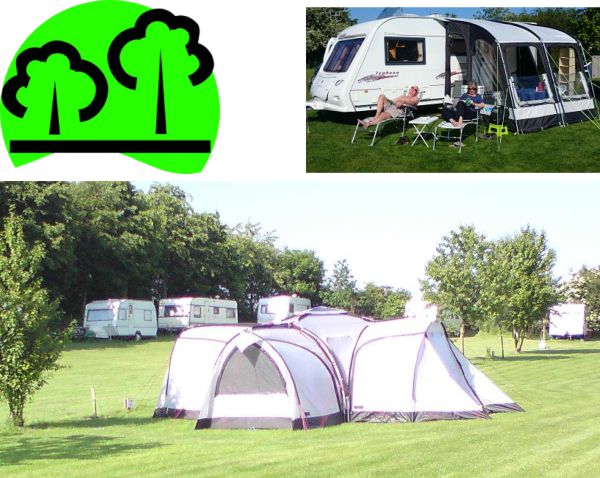 Greenwoods Campsite