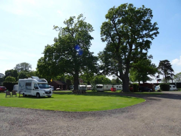 Kings Lynn Caravan & Camping Park 13935