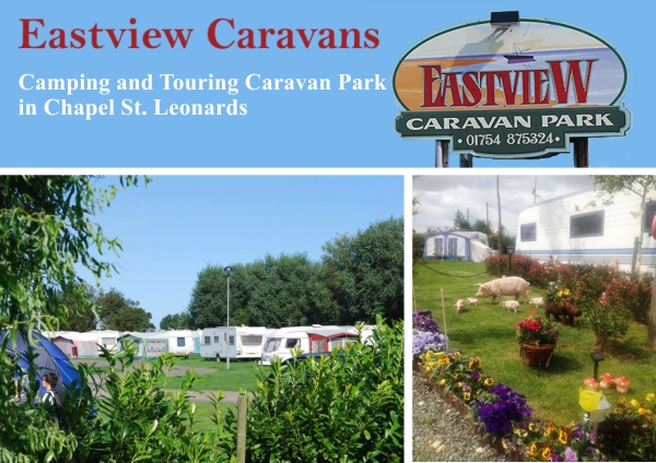 Eastview Caravan Park 13976