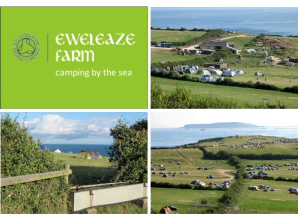 Eweleaze farm on sale