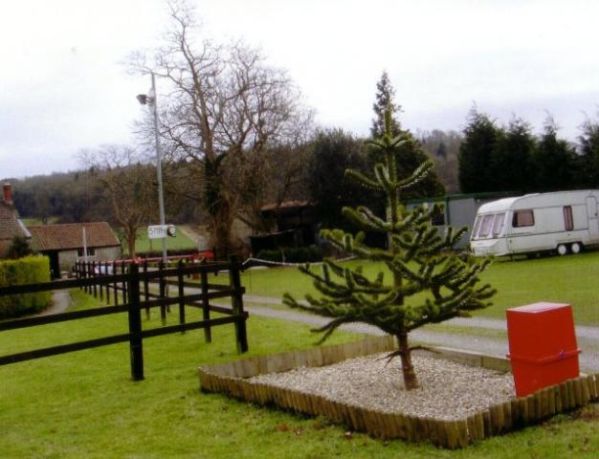 Bury View Farm Campsite 14057