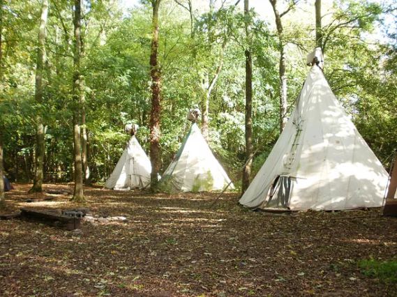 Hollybush Camping 14098