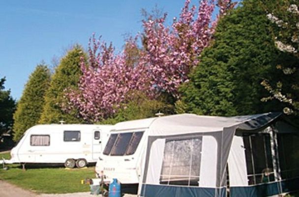 Trethiggey Touring Park 14155