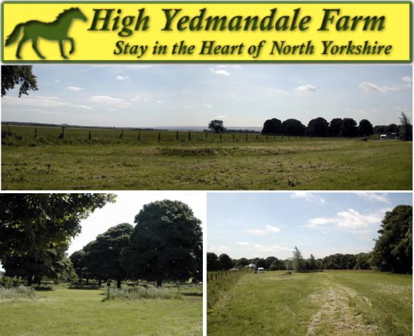High Yedmandale Farm